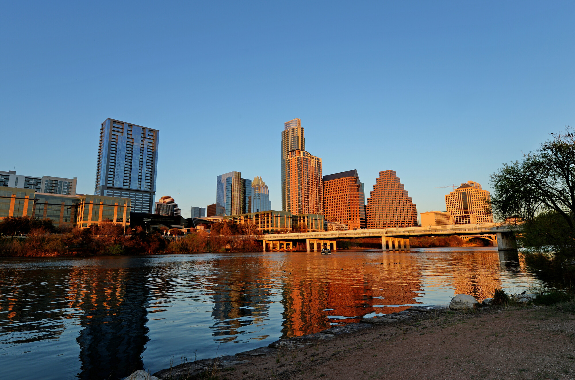 Austin Rental Property Management: Full-Service for Your Business